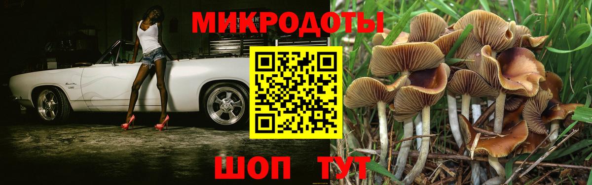 Галлюциногенные грибы Psilocybe  Галлюциногенные грибы мухоморы  Комсомольск-на-Амуре  купить наркотик  Вход с VPN 